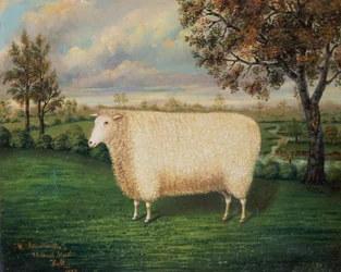 En premie-sau av den gamle Lincoln-rasen, 1835